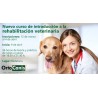 Curso de Iniciación a la Rehabilitación Veterinaria