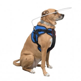 harness for blind dogs
