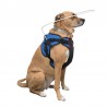 Harness mit Reifen für blinde Hunde