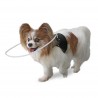 Harness mit Reifen für blinde Hunde