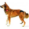 Culotte de protection pour chien incontinent ou chienne en chaleur