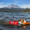 buy Dog life jacket - Accessories