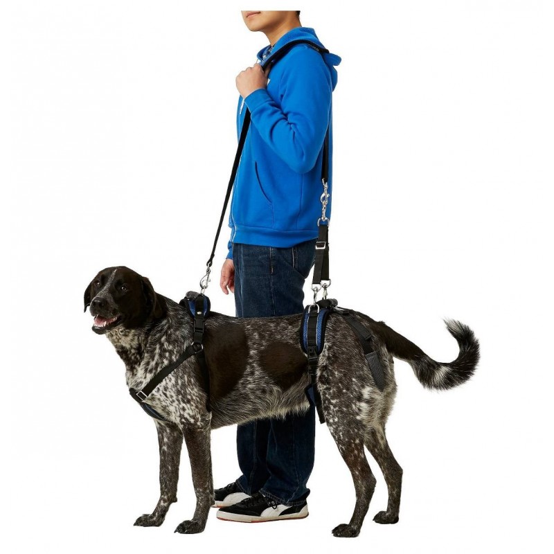 buy Assisted Support Harness - Technical assistance