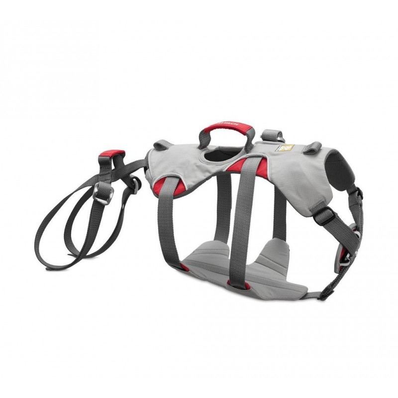 Doppio Indietro Harness. Imbracatura per cani per disabili