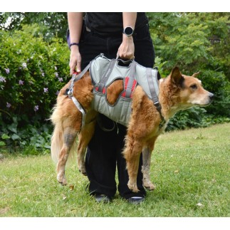 Double Back Harness. Dog harness for disabled