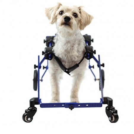 Accessorio carrello per cani disabili