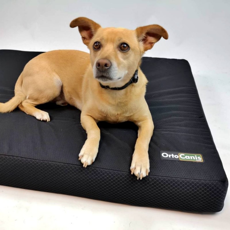 Ortocanis Orthopedic Dog Bed