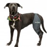 buy Dog Knee Brace - Technical assistance