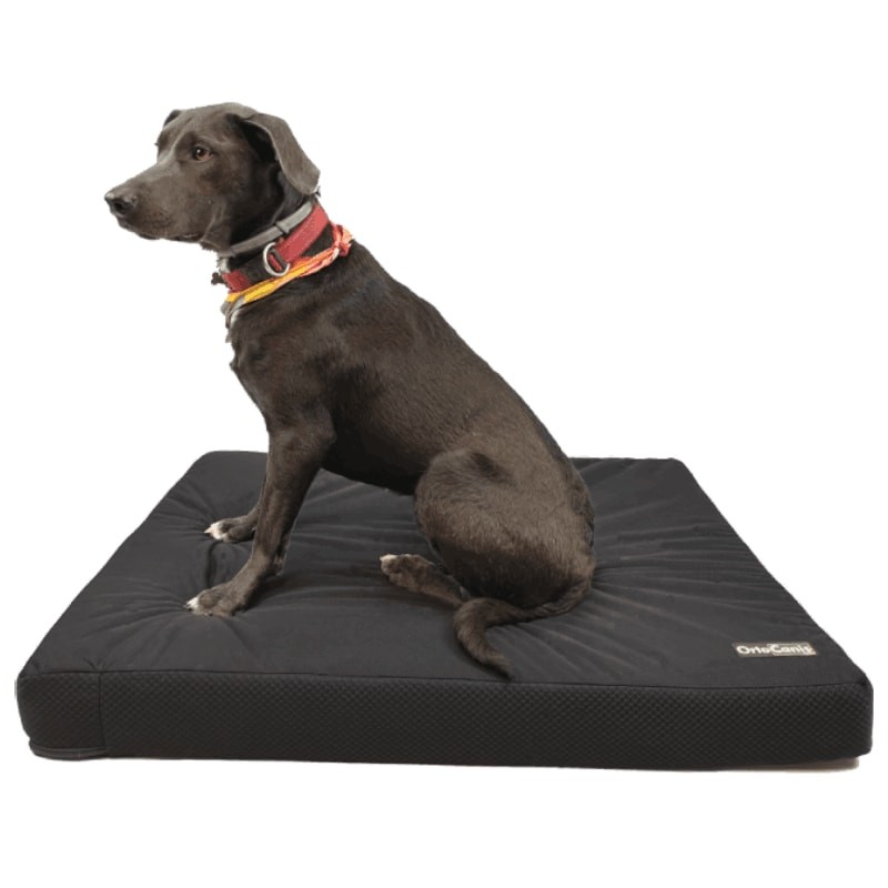 Colch n ortop dico para perro. Cama viscoel stica