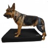 Matelas orthopédique pour chien