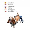 buy Wheelchair rental for dogs - Dog Wheelchair