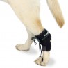Help for dogs dragging their knuckle