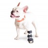 Front Leg Splint for Dogs