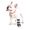 Tala ortopédica para cão. Membro anterior