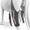 구입하다 Knee immobilizer for dogs - 뒷다리