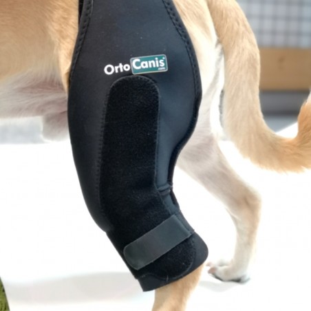 Knee immobiliser for dogs