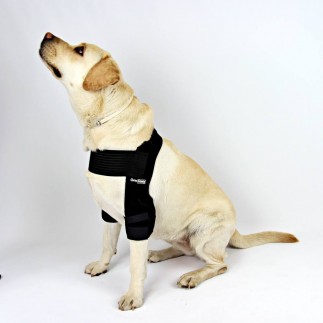 Tutore gomito per cane