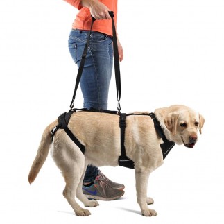  25 kg 10  Cane sollevamento Supporto Imbracatura Canino sostegno riabilitazione imbracatura per cani con gambe posteriori débiles 