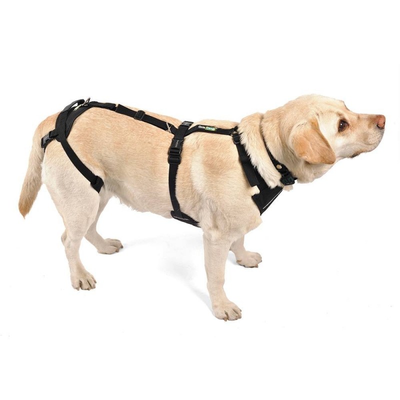 Ortocanis Integral Dog Harness