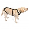 Dog integral harness