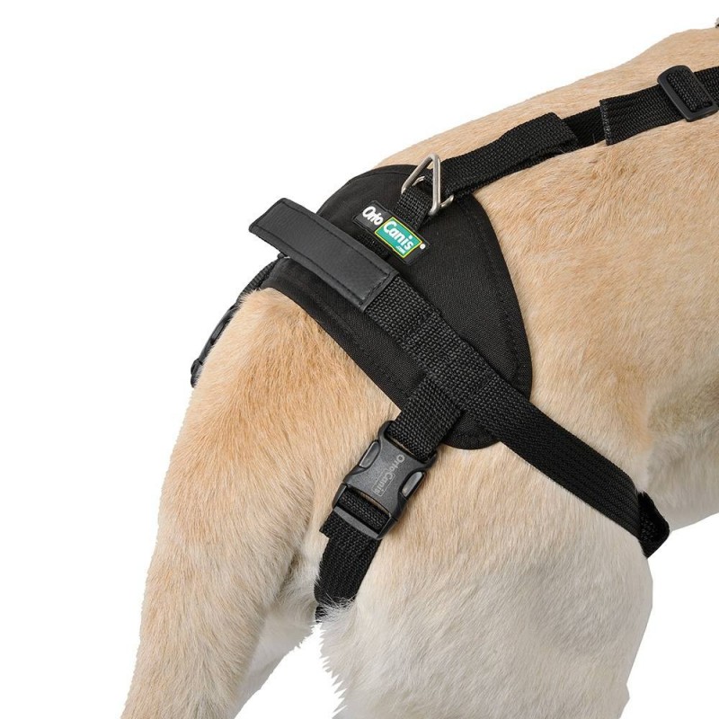 Ortocanis Integral Dog Harness