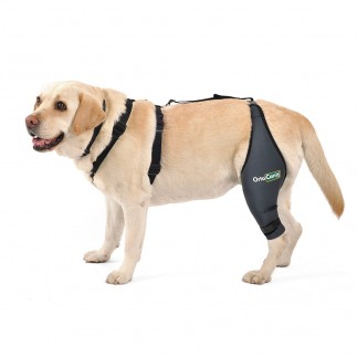 Cinta de sujeción lumbar