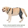 Dog knee brace with harness and fastening belt 