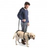 구입하다 Integral Dog Harness - Technical assistance