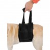 buy Support Sling for Dogs - Harnesses