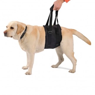  Support Sling for Dogs