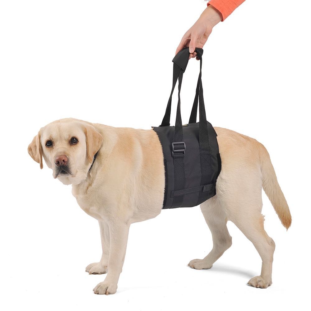 Dog support on sale sling