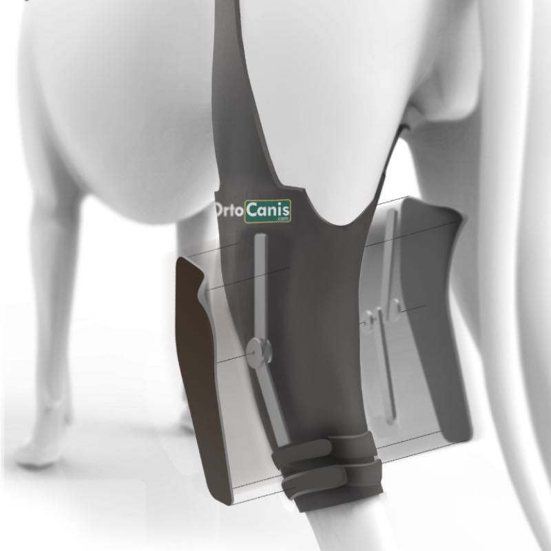 Ortocanis dog knee brace shop