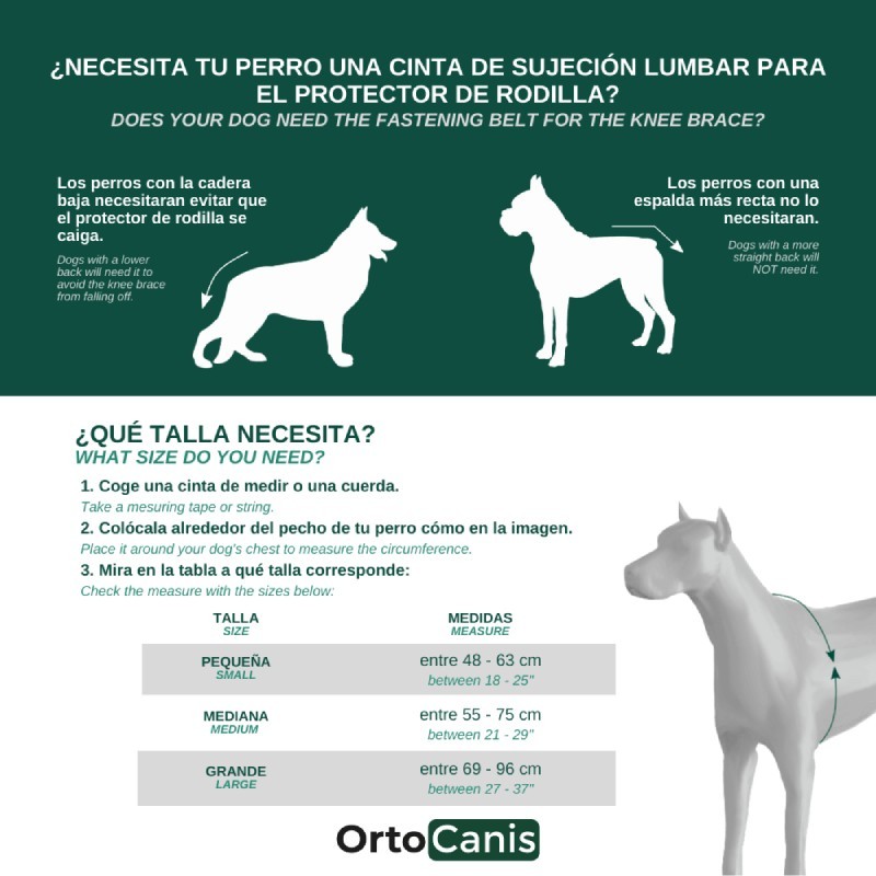 Do Knee Braces Work For Dogs