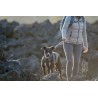 comprar Arnês Ruffwear Front Range - Início