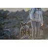 Ruffwear Front Range Geschirr