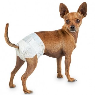 Dog diaper