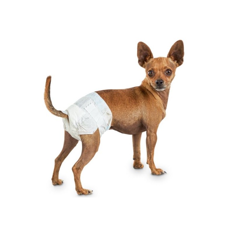 Dog diaper