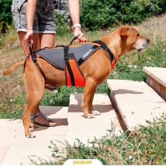 4-in-1 Multifunctional Rehabilitation Harness