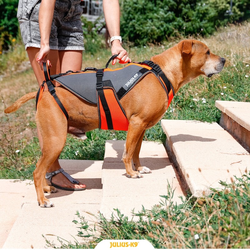 buy 4-in-1 Multifunctional Rehabilitation Harness - Harnesses