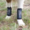 Dog carpal brace