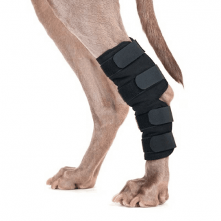 Tarsus or hock protector for dogs