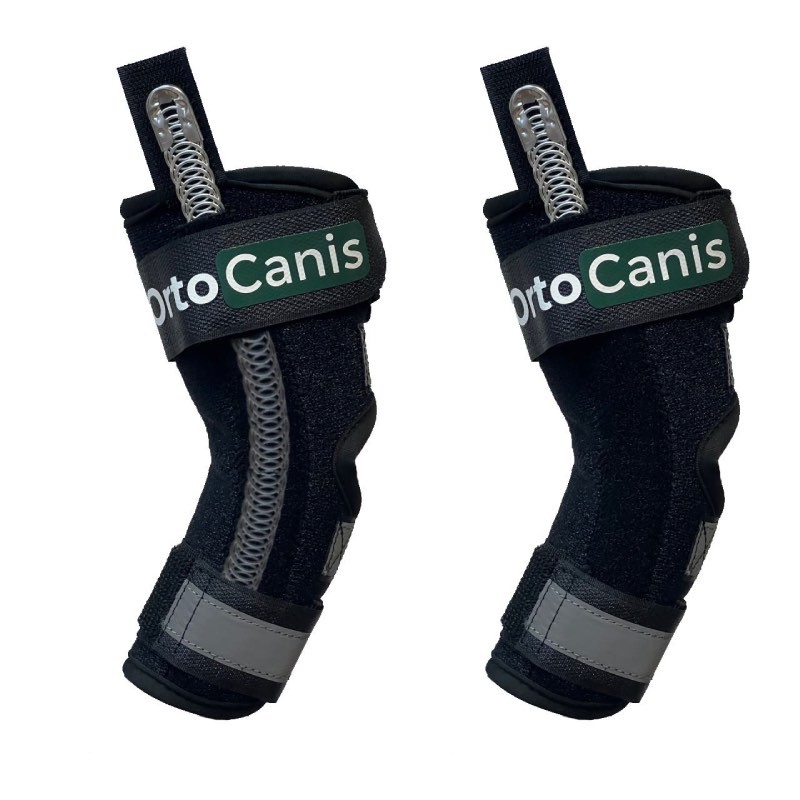 comprar Suporte Tarsal com talas - Protectores de articulações para cães