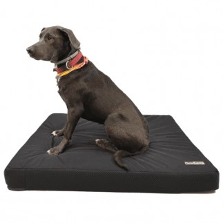 comprar Capa de Colchão Ortopédico para cães - Ajuda técnica