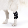 buy Hock Wrap - Joint protectors for dogs