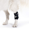 Fußwurzelschoner für Hunde mit Arthrose