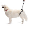 Dog Support Harness