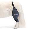 Genouillère pour chien souffrant d'arthrose