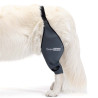 Protector de genoll per a gos amb artrosi