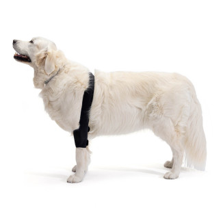 Protetor de cotovelo para cães com osteoartrite