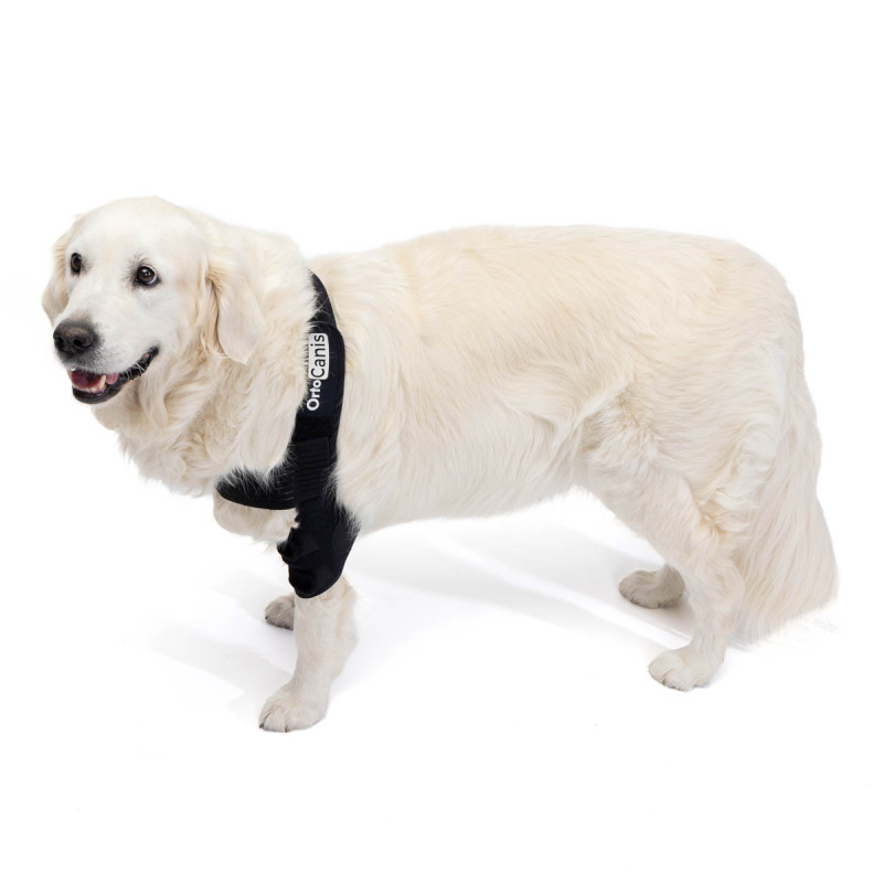 Ortocanis Dog Elbow Pads